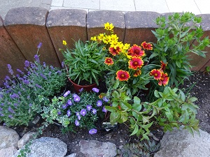 Blumenbeet